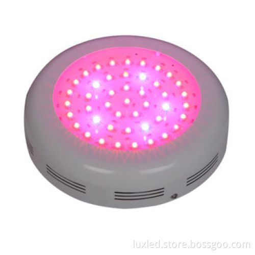 Round LED grow lights, full spectrum, 2 years warranty